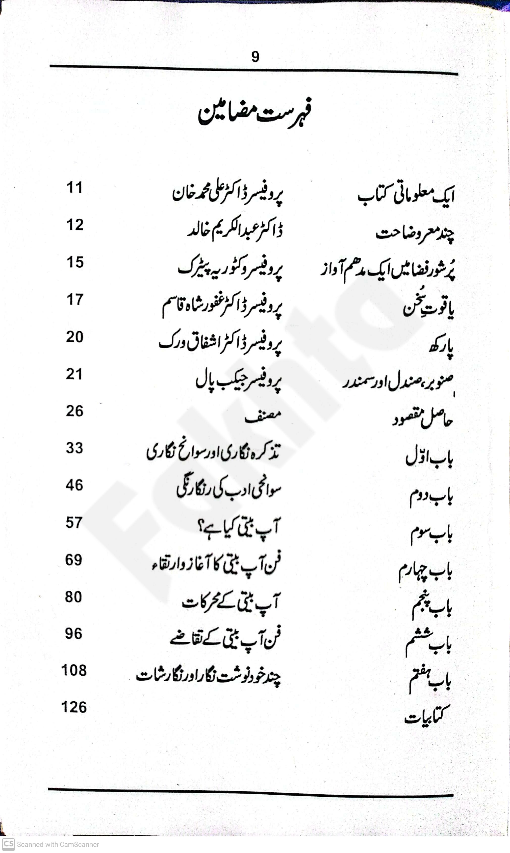 صفحہ
